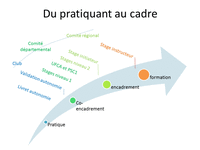Du pratiquant au cadre fédéral Du pratiquant au cadre fédéral